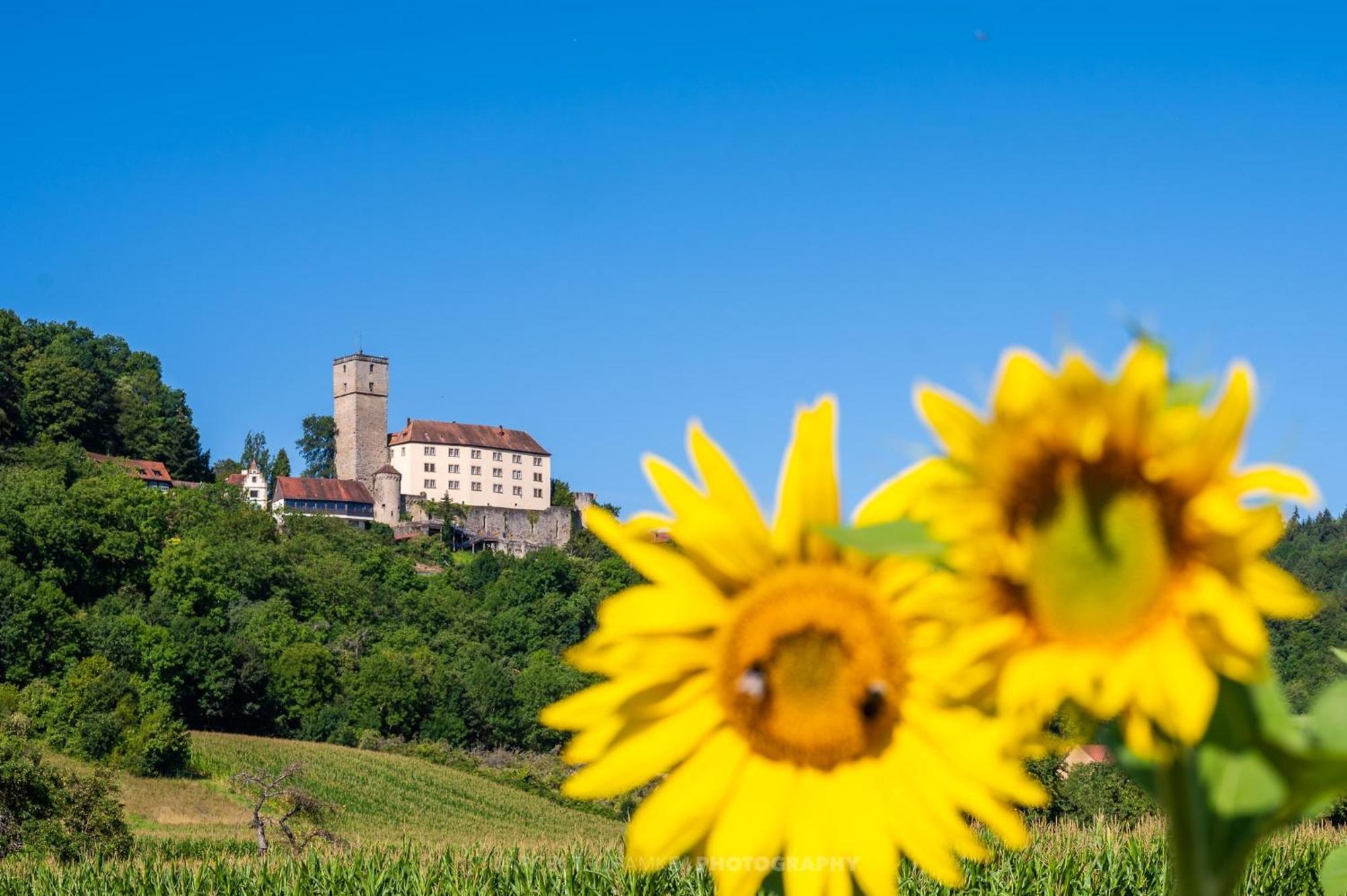 Vila Wohnen Auf Der Ritterburg Haßmersheim Exteriér fotografie